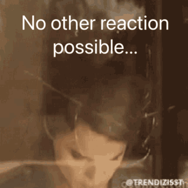 a picture of a woman with the words " no other reaction possible " above her