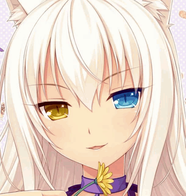 a girl with white hair and blue eyes is holding a flower in her hand