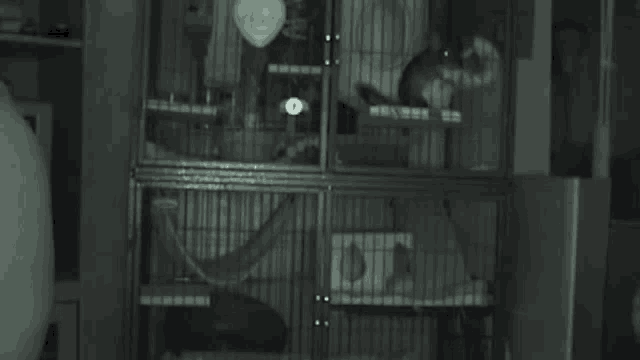 a black and white photo of a cage with a mouse in it .
