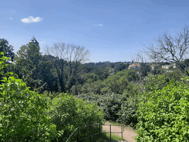 a tower is visible in the distance behind a lush green forest