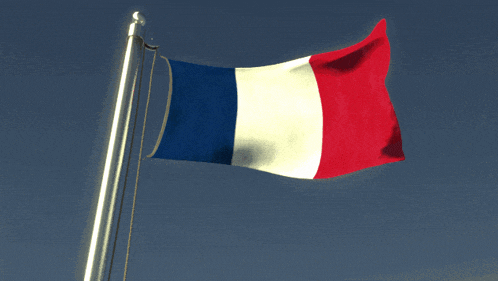 a french flag is waving in the wind