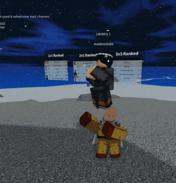 a screenshot of a video game that says novice on it