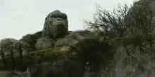 Kong Skullisland GIF - Kong Skullisland Skull GIFs