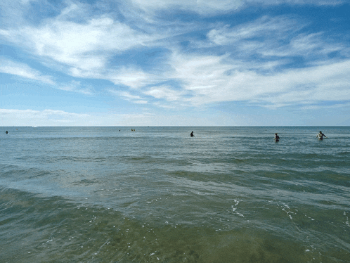 a group of people are swimming in the ocean