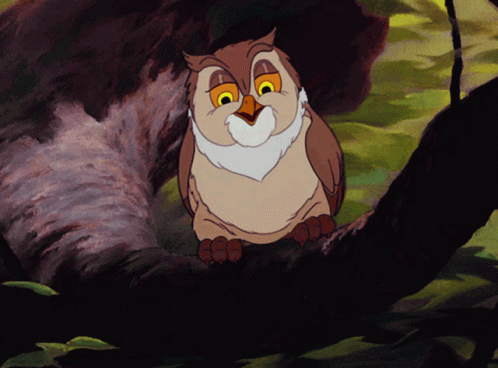 Hoot Mf Owl GIF - Hoot Mf Owl Hoot Hoot GIFs