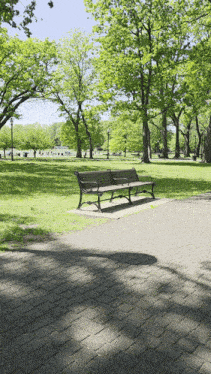 a park with trees and a bench in the middle of it