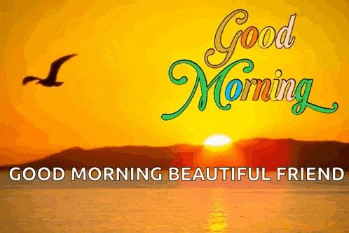 a good morning beautiful friend with a bird flying over the ocean