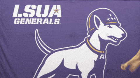 a purple banner for the lsua generals shows a dog wearing a helmet