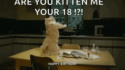 a cat is standing on its hind legs at a table with a plate of food .
