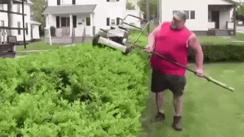 Mow Carry GIF - Mow Carry Heavy GIFs