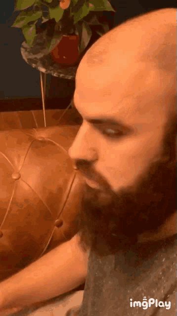 a bald man with a beard is sitting on a leather couch with a plant in the background