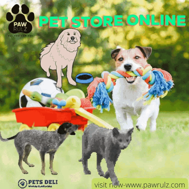 Pet Pet Food Online GIF - Pet Pet Food Online Cat GIFs