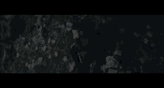 Sergey Lazarev GIF