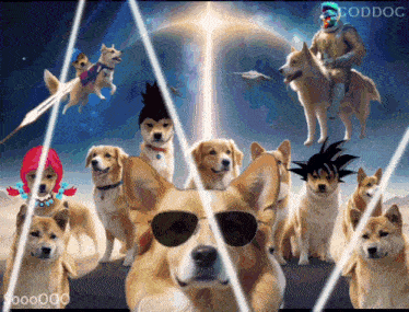 a group of dogs wearing sunglasses with goddog written on the bottom right