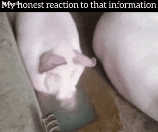 a picture of a pig with the words my honest reaction to that information below it
