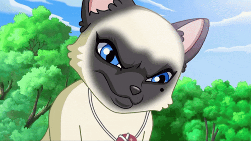 a cat with a necklace around its neck is looking at the camera