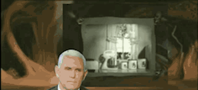 Pence Fly GIF - Pence Fly Mike GIFs