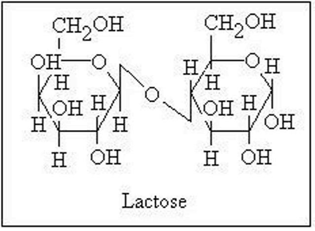 a diagram of the chemical structure of lactose , a chemical compound .
