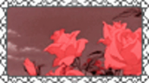 Flower Bellan GIF - Flower Bellan F Lowers GIFs
