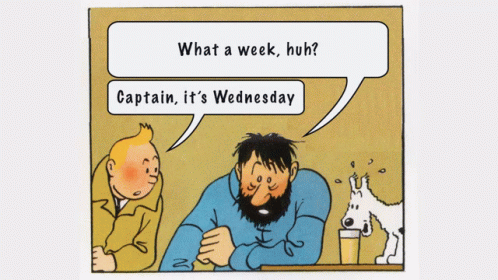What A Week Tintin GIF - What A Week Tintin GIFs