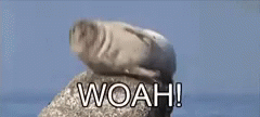 Seal Almost Gave A Fuck GIF - Seal Almost Gave A Fuck Woah GIFs