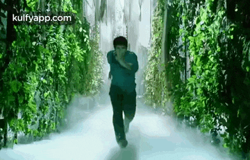 a man is running through a lush green forest covered in plants .