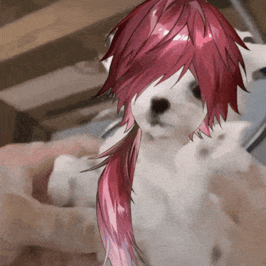 a small white dog with red hair and a ponytail