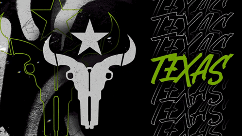 Houston Outlaws Texas GIF - Houston Outlaws Texas Revolvers GIFs
