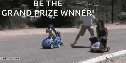 a dog is riding a toy car next to a woman riding a toy car .