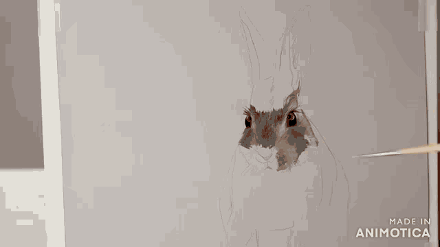 a person is drawing a rabbit on a piece of paper with a pencil .