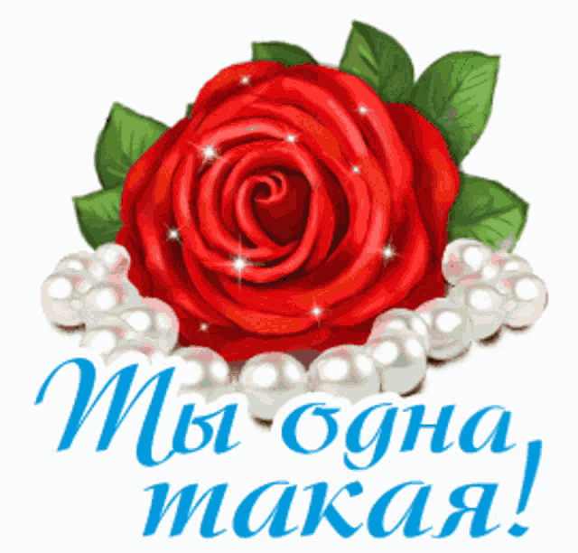 a red rose is surrounded by pearls and the words " мы одна макая "