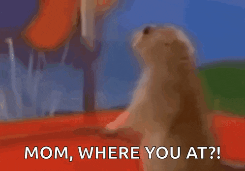 a close up of a squirrel with the words mom where you at