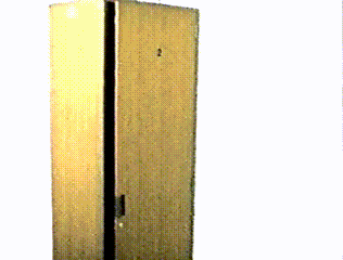 a woman is standing in a closet with a purse in her hand