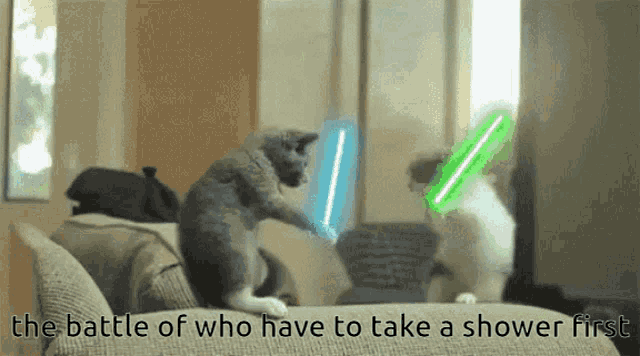 two cats are playing with lightsabers and the words the battle of who have to take a shower first
