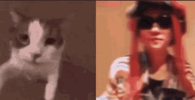 a cat and a woman with red hair are standing next to each other . the cat is wearing sunglasses and a hat .