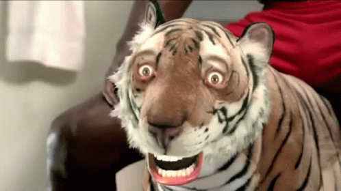 Terrified Tiger GIF - Terrified Tiger Shocked GIFs