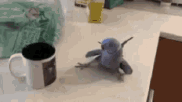 a small stuffed bird is sitting on a counter next to a coffee mug .