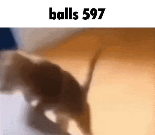 a blurred image of a cat with the words balls 597 below it
