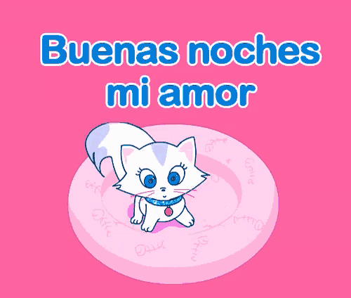 a cartoon cat on a pink plate with the words buenas noches mi amor