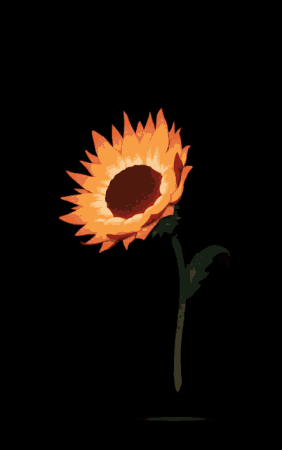 a sunflower with a green stem and leaves on a black background