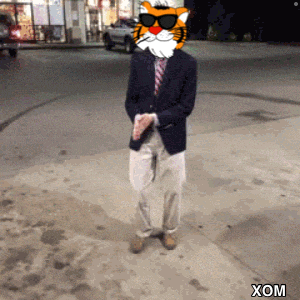 a cartoon of a man with a tiger mask on his face