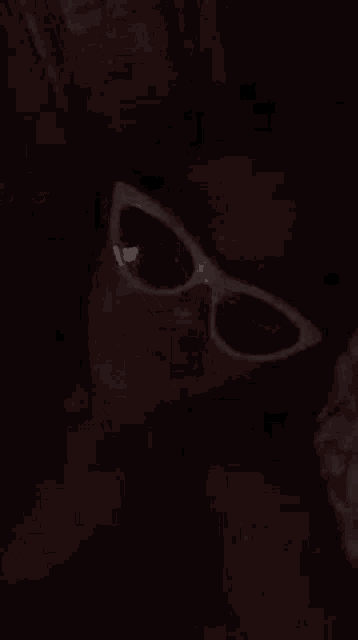 a close up of a dog wearing sunglasses in the dark