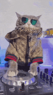a cat wearing sunglasses and a gucci jacket is sitting on a dj mixer