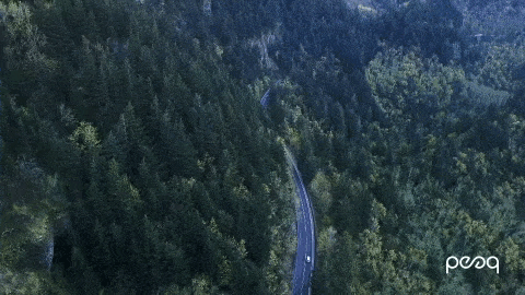 an aerial view of a road going through a forest with the word peoq in the corner