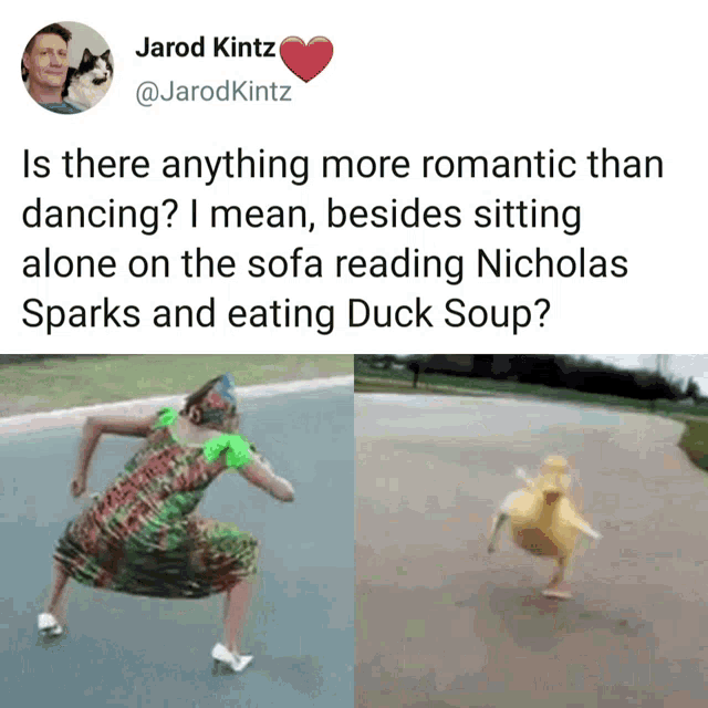 Dancing Is There Anything More Romantic Than Dancing GIF - Dancing Is There Anything More Romantic Than Dancing Duck GIFs