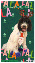 a dog wearing antlers and a santa hat is on a christmas card