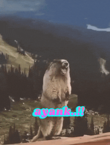 a picture of a ground squirrel with ayank.ii written on the bottom