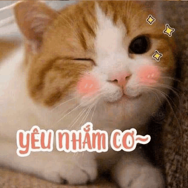 a brown and white cat is laying down with its eyes closed and a sticker on its face .