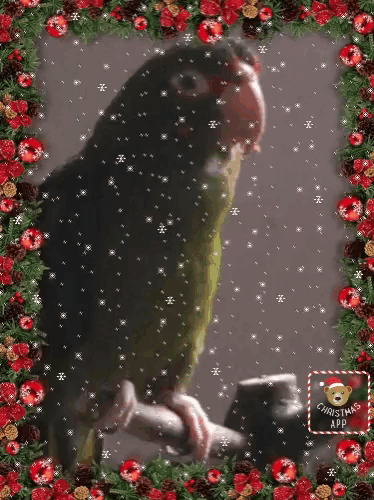 a picture of a parrot surrounded by christmas decorations and snow