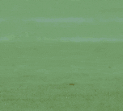 a woman in red shorts and red socks is walking on a field